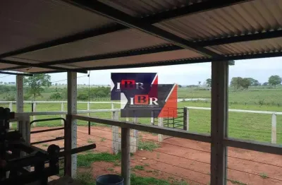 Fazenda à venda na Zona Rural, Terenos 