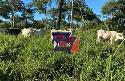 Fazenda à venda na Zona Rural, Alcinópolis 