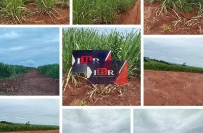 Fazenda à venda no Parque do Mirante, Luís Antônio 