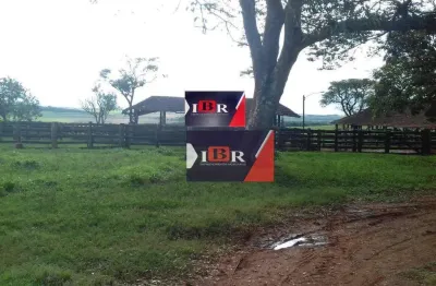 Fazenda à venda na Zona Rural, Martinópolis 