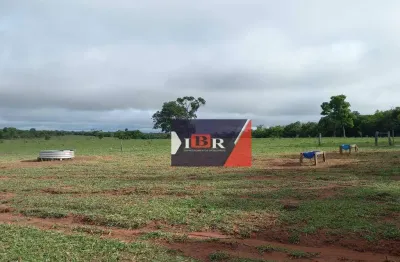 Fazenda à venda na Zona Rural, Corguinho 