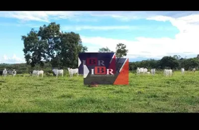 Fazenda à venda na Zona Rural, Bonito 
