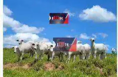 Fazenda à venda na Área Rural de Marília, Marília 