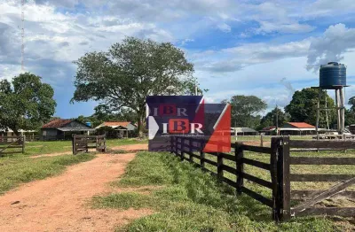 Fazenda à venda na Zona Rural, Barra do Garças 