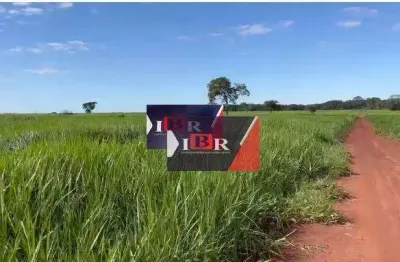 Fazenda à venda na Zona Rural, Coxim 