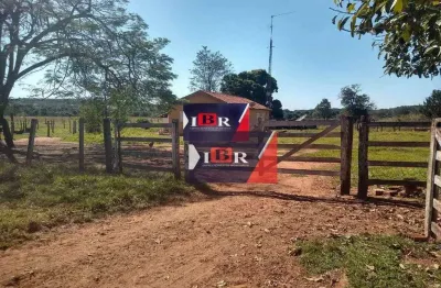 Fazenda à venda na Zona Rural, Selvíria 