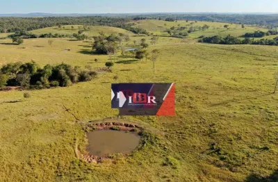 Fazenda à venda na Zona Rural, Camapuã 