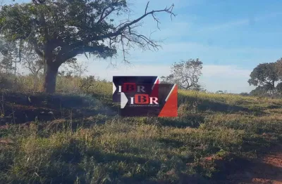 Fazenda à venda no Centro, Terenos 