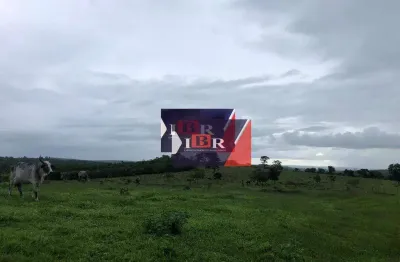 Fazenda à venda na Travessa Cristo Rei, Zona Rural, Campo Grande