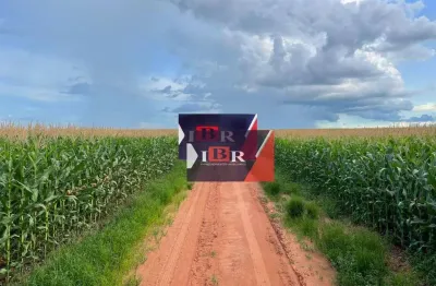 Fazenda à venda na Zona Rural, Ipiranga do Norte 