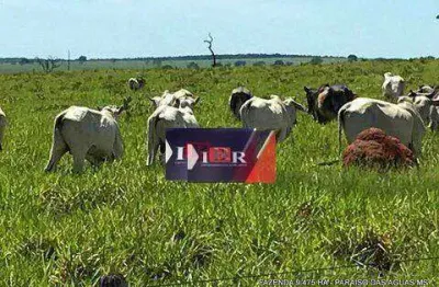 Fazenda à venda na Zona Rural, Água Clara 