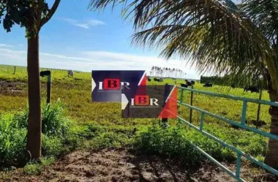 Fazenda à venda na Zona Rural, Lizarda 