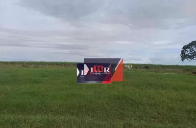 Fazenda à venda na Avenida Quarta, Área Rural de Mineiros, Mineiros
