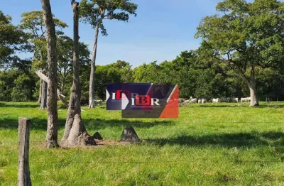 Fazenda à venda na Zona Rural, Santo Antônio do Leverger 