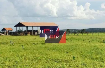 Fazenda à venda na Rua Druris, Zona Rural, Campo Grande