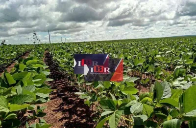 Fazenda à venda na Zona Rural, Poxoréu 