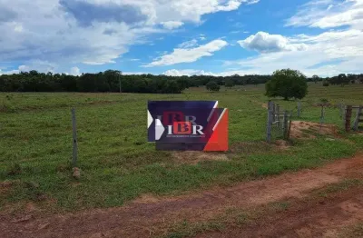 Fazenda à venda na Zona Rural, Ribas do Rio Pardo 
