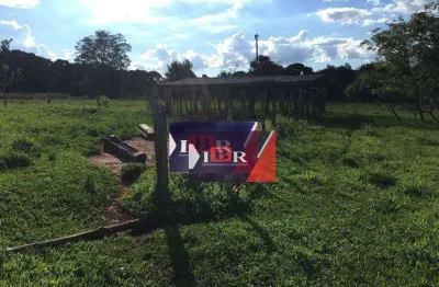 Fazenda à venda na Zona Rural, Campo Grande 