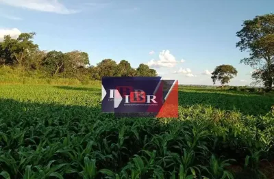 Chácara / sítio à venda na Zona Rural, Terenos 