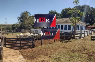 Fazenda à venda na Avenida Quarta, Área Rural de Mineiros, Mineiros