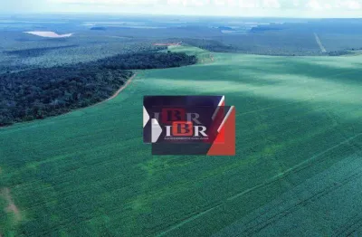 Fazenda à venda na Zona Rural, Diamantino 