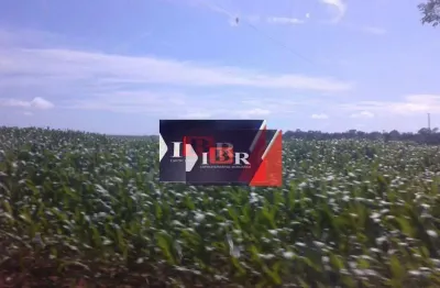 Fazenda à venda na Zona Rural, Porto dos Gaúchos 