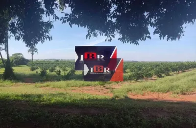 Chácara / sítio à venda na Zona Rural, Guaraci 