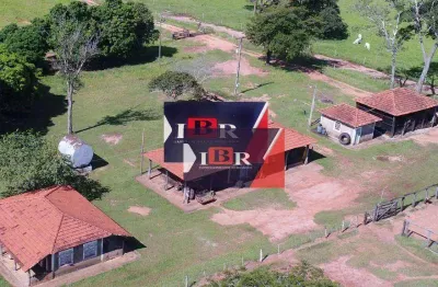 Fazenda à venda na Zona Rural, Ribas do Rio Pardo 