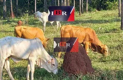 Fazenda à venda na Zona Rural, Inocência 