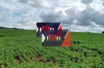 Fazenda à venda no Jardim Elvira, Paraíso 