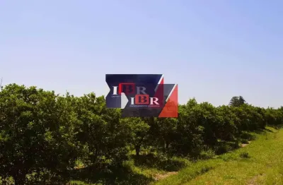 Fazenda à venda, 2420000 m² por r$ 40.000.000,00 - zona rural - aguaí/sp