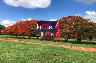 Fazenda à venda na Zona Rural, Terenos 