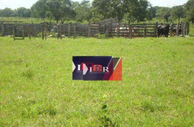 Fazenda à venda na Zona Rural, Terenos 