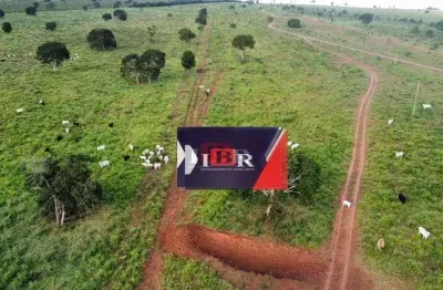Fazenda à venda na Zona Rural, Figueirão 