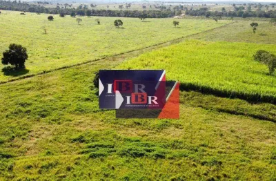 Fazenda à venda na Zona Rural, Figueirão 