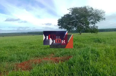 Fazenda à venda na Zona Rural, Dois Irmãos do Buriti 