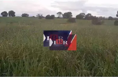 Fazenda à venda na Zona Rural, Água Clara 