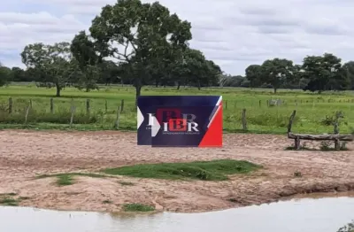 Fazenda à venda na Zona Rural, Ribas do Rio Pardo 