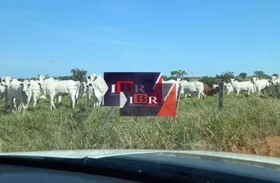 Fazenda à venda na Zona Rural, Água Clara 