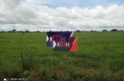 Fazenda à venda na Zona Rural, Inocência 
