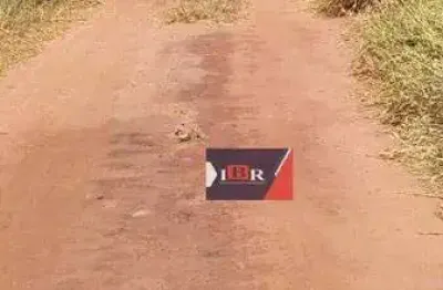 Fazenda à venda na Zona Rural, Ribas do Rio Pardo 