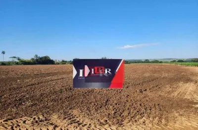 Chácara / sítio à venda na Zona Rural, Santa Cruz da Esperança 