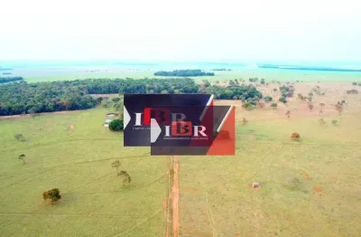 Fazenda à venda na Zona Rural, Cassilândia 
