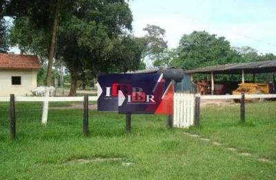 Fazenda à venda na Zona Rural, Pedro Gomes 