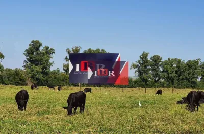 Fazenda à venda na Zona Rural, Getulina 