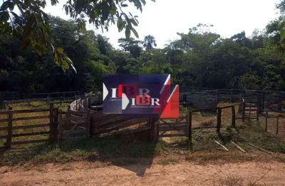 Fazenda para alugar no Taunay, Aquidauana 