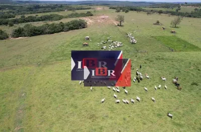 Fazenda à venda na Zona Rural, Alto Garças 