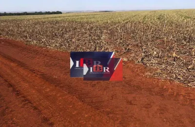 Fazenda à venda na Área Rural, Área Rural de Ponta Porã, Ponta Porã