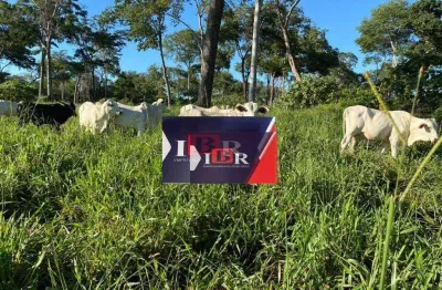 Fazenda à venda na Zona Rural, Alcinópolis 