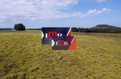 Fazenda à venda na Zona Rural, Goiatins 